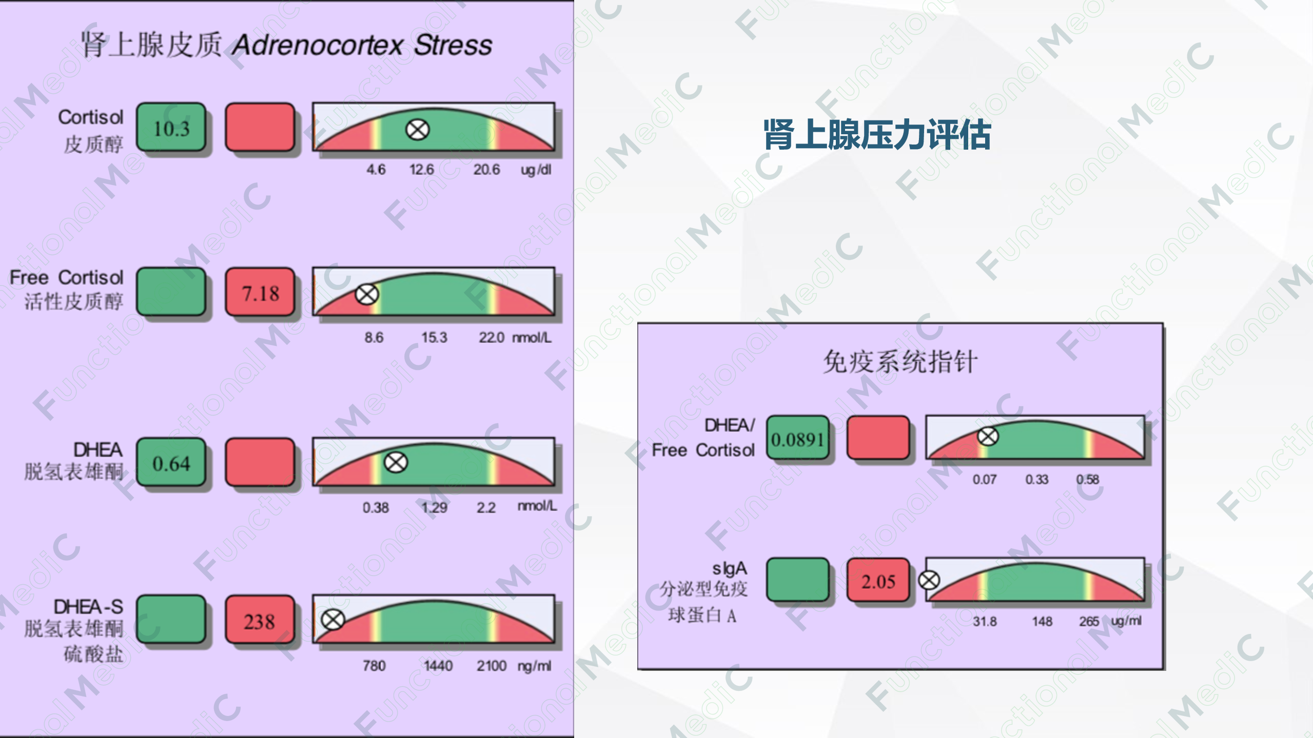 温故而知新专栏 | 萎缩性胃炎肠化生的功能医学管理（下）