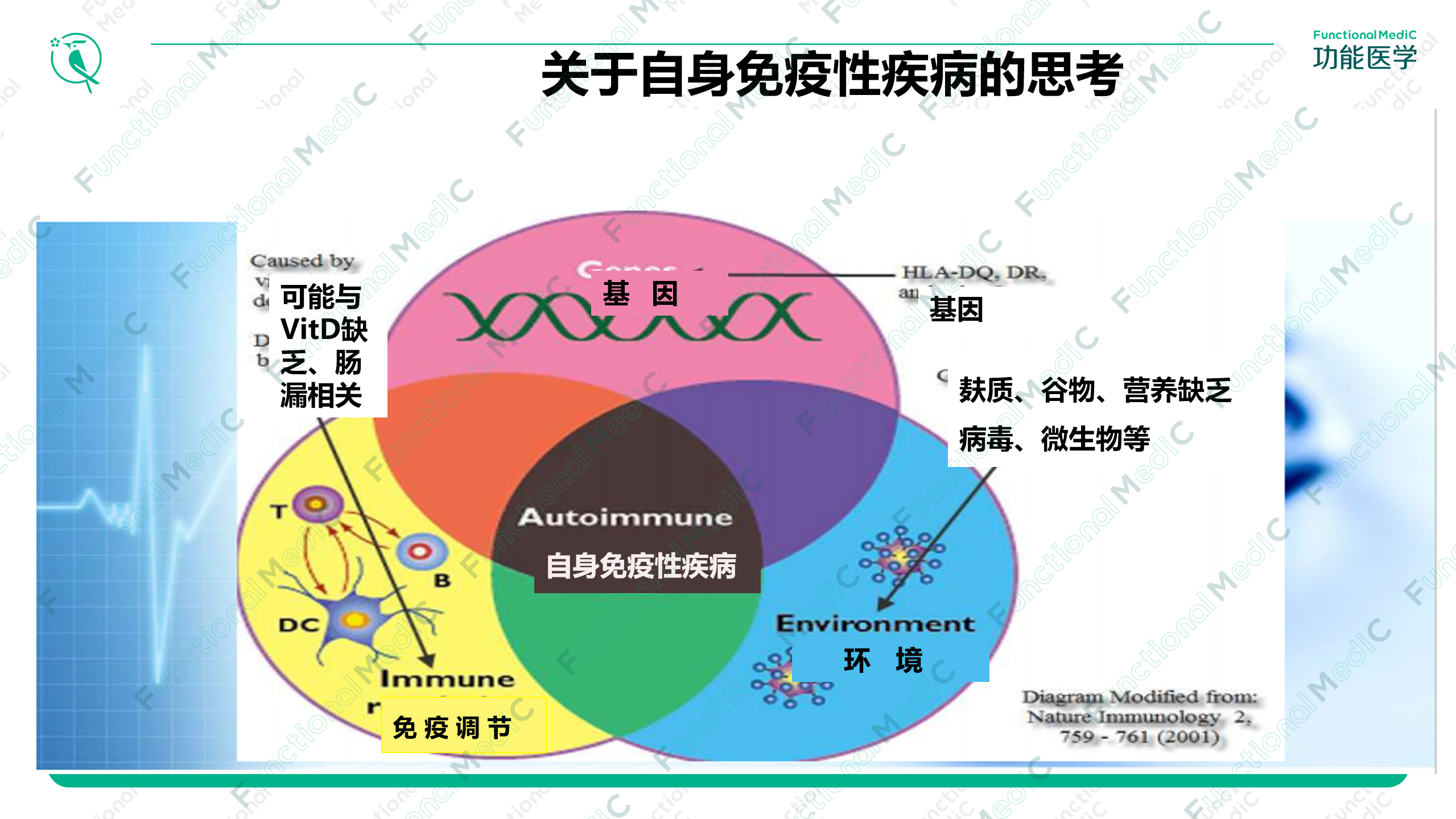 温故而知新专栏 | 变应性肉芽肿性血管炎的功能医学辅助干预（下）