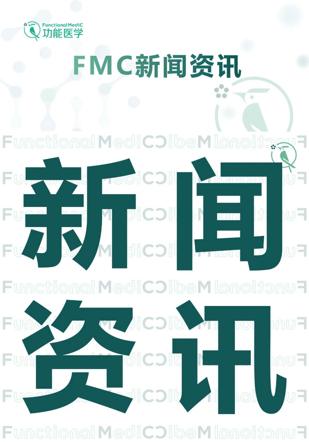 新闻资讯