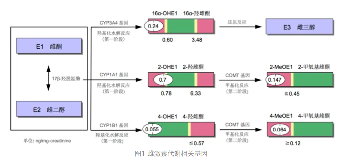 温故而知新专栏 | 解毒与生物转化失衡篇《肝脏解毒的生理过程》