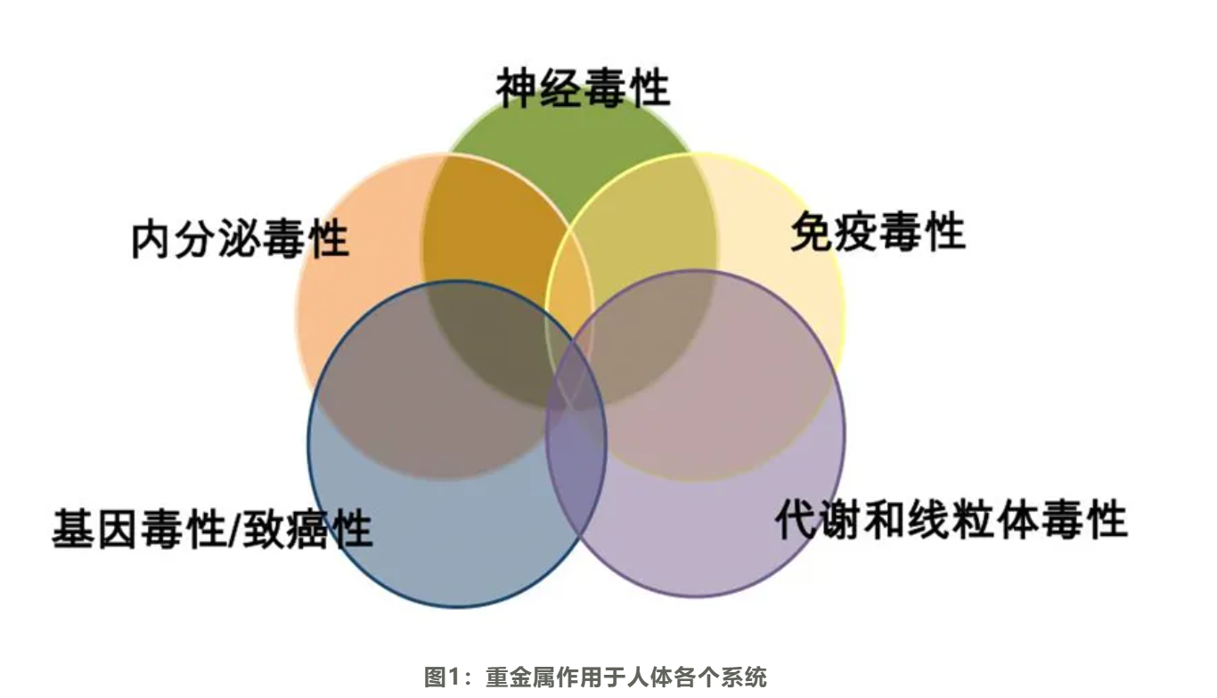 温故而知新专栏 | 解毒与生物转化失衡篇《功能医学排除重金属的基础方案》