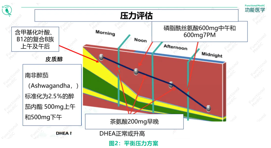 温故而知新专栏 | 雌激素代谢失衡的功能医学干预（下）