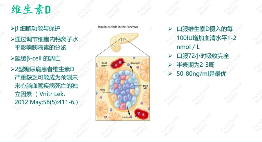 温故而知新专栏 | 糖尿病的功能医学干预及辅助治疗（上）