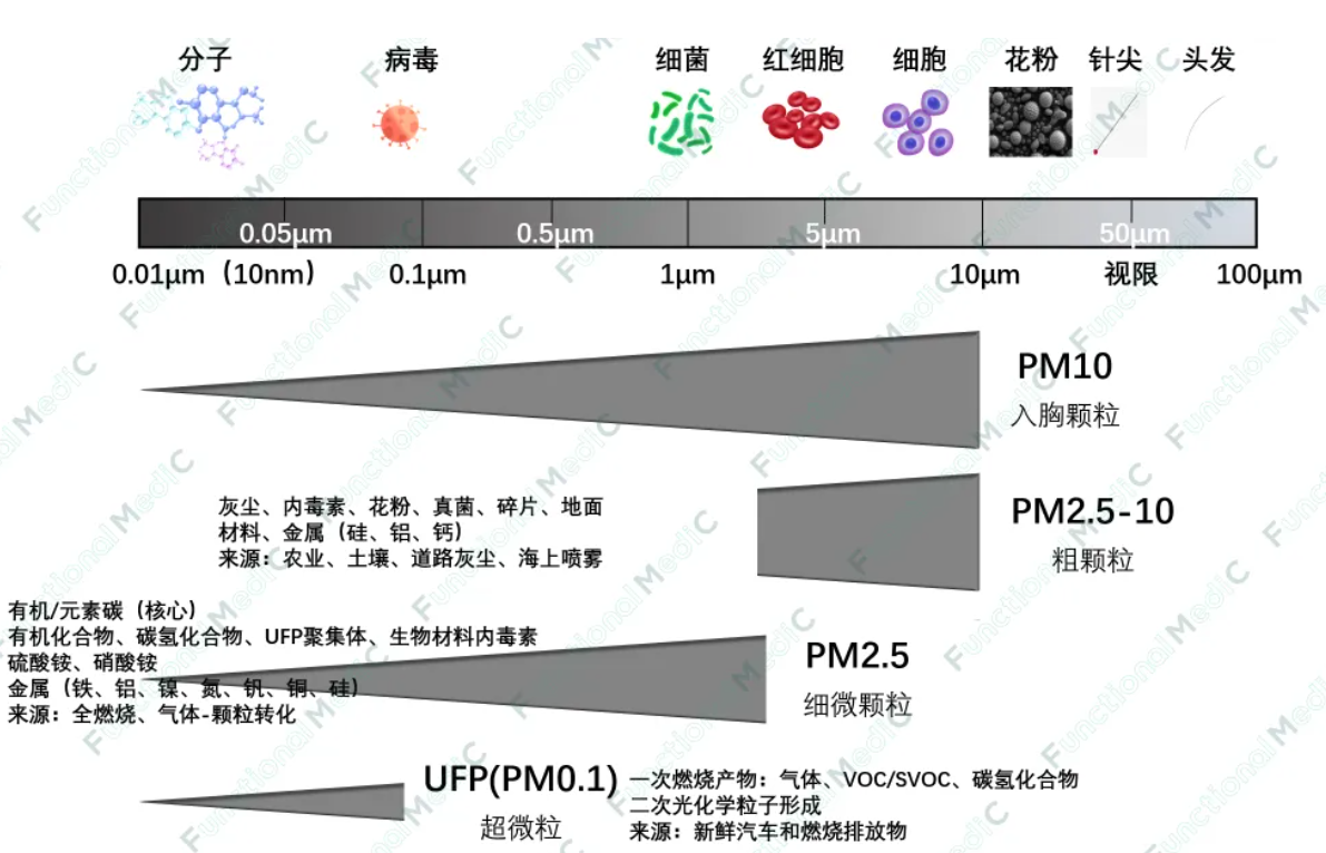 温故而知新专栏 | 可吸入颗粒物与高血压