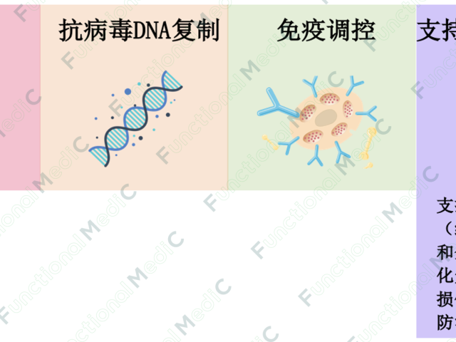 温故而知新专栏｜病毒系列（6）：支持细胞和整个系统的功能医学策略