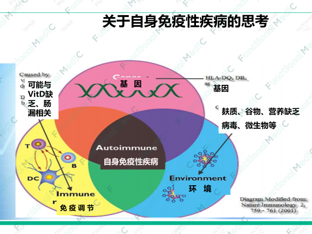 温故而知新专栏 | 变应性肉芽肿性血管炎的功能医学辅助干预（下）