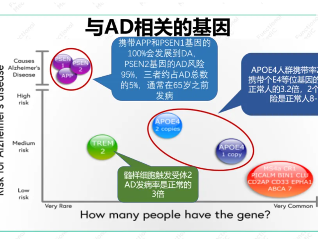 温故而知新专栏｜毒素、荷尔蒙失衡、3型糖尿病与老年人认知功能障碍