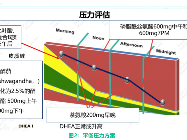 温故而知新专栏 | 雌激素代谢失衡的功能医学干预（下）