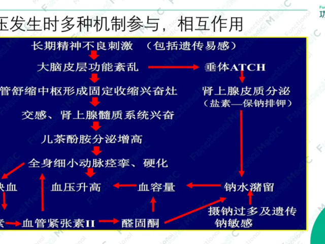 温故而知新专栏 | 高血压药物与营养的相互作用（一）利尿剂