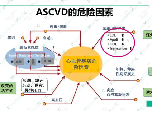 温故而知新专栏 | 血脂异常和动脉硬化的功能医学干预（中）