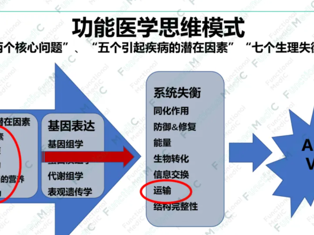 温故而知新专栏 | 血脂异常和动脉硬化的功能医学干预（下）